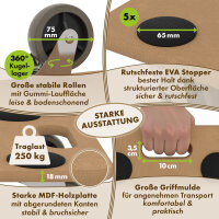 TTL HOME Möbelroller "SCOOTER" 2er SET - 58x30x11cm, 4 Rollen + 5 Pads + Handschuhe