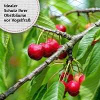 TTL Garden 2 x 5 m Vogelschutznetz & Laubnetz -...