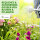 TTL Garden Giesskanne Zink 5L - Garten Bewässerung, Zinkgießkanne, Gießbrause, Blumengießkanne