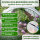 TTL Garden Frühbeetvlies Premium 30g/m² 16m² 1,6x10m PP weiß - Wintervlies, Frostschutz, Abdeckvlies, Wachstumsvlies