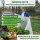 TTL Garden Frühbeetvlies Premium 30g/m² 16m² 1,6x10m PP weiß - Wintervlies, Frostschutz, Abdeckvlies, Wachstumsvlies