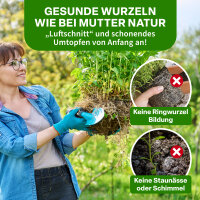 TTL Garden Pflanzsack 8L 5er Set